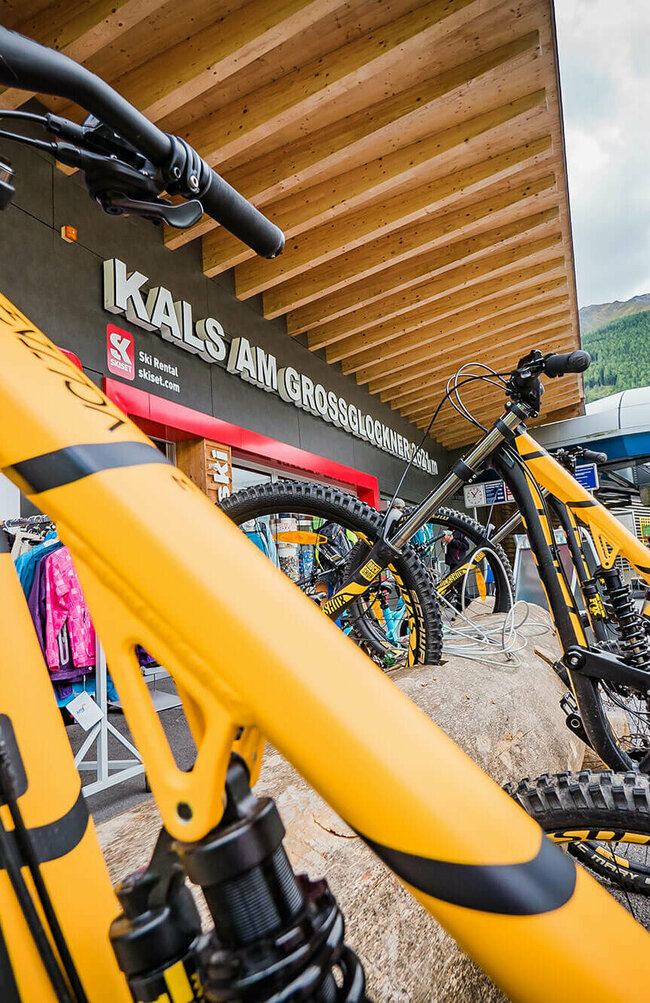Mehrere gelb-schwarze Mountainbikes in einem Baum als Fahrradständer an der Talstation der Bergbahn in Kals am Großglockner.