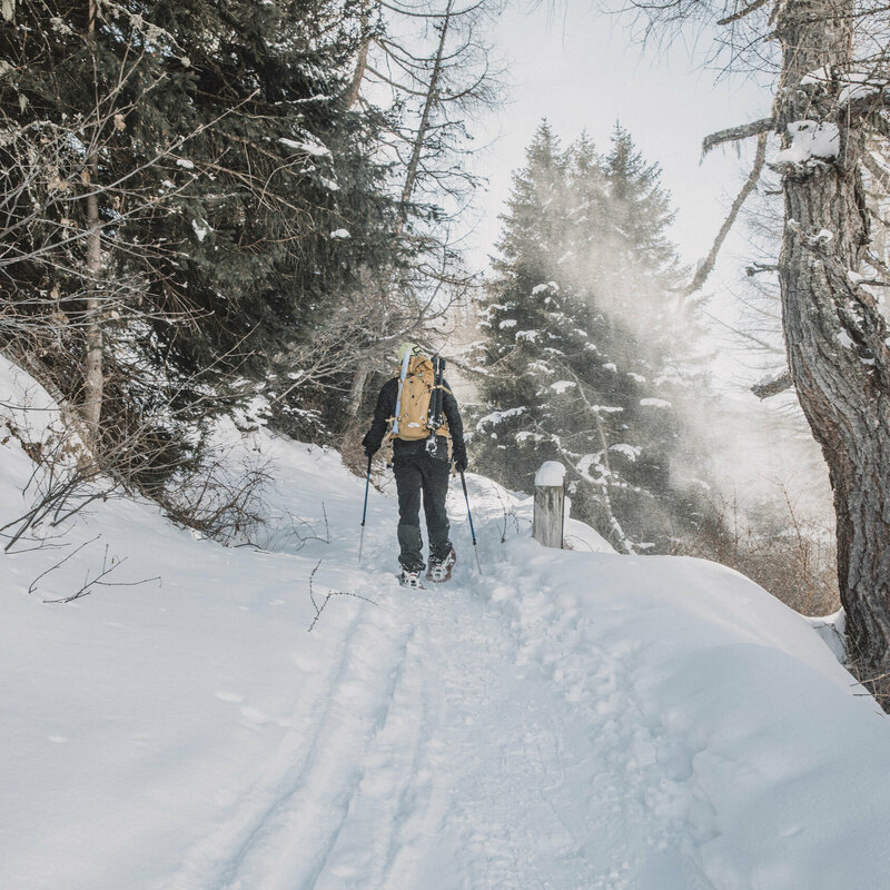 Ein Schneeschuwanderer mit gelbem Rucksack steigt durch einen verschneiten Wald in Osttirol.