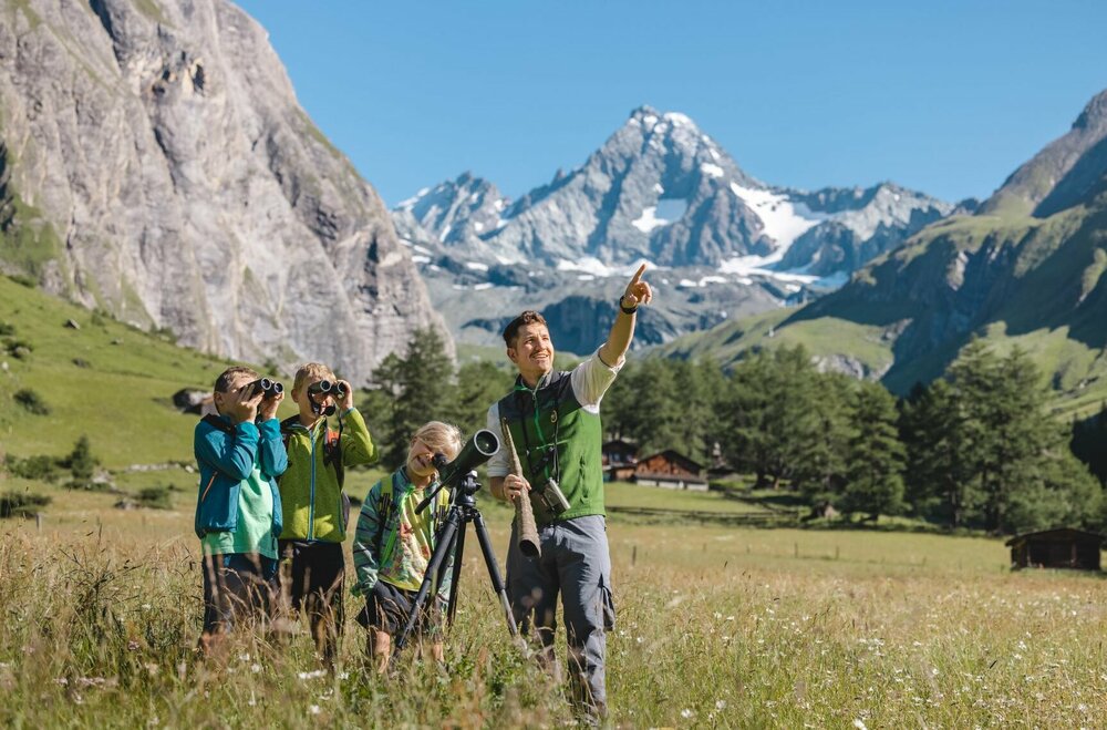Wildtierbeobachtung Nationalpark Hohe Tauern