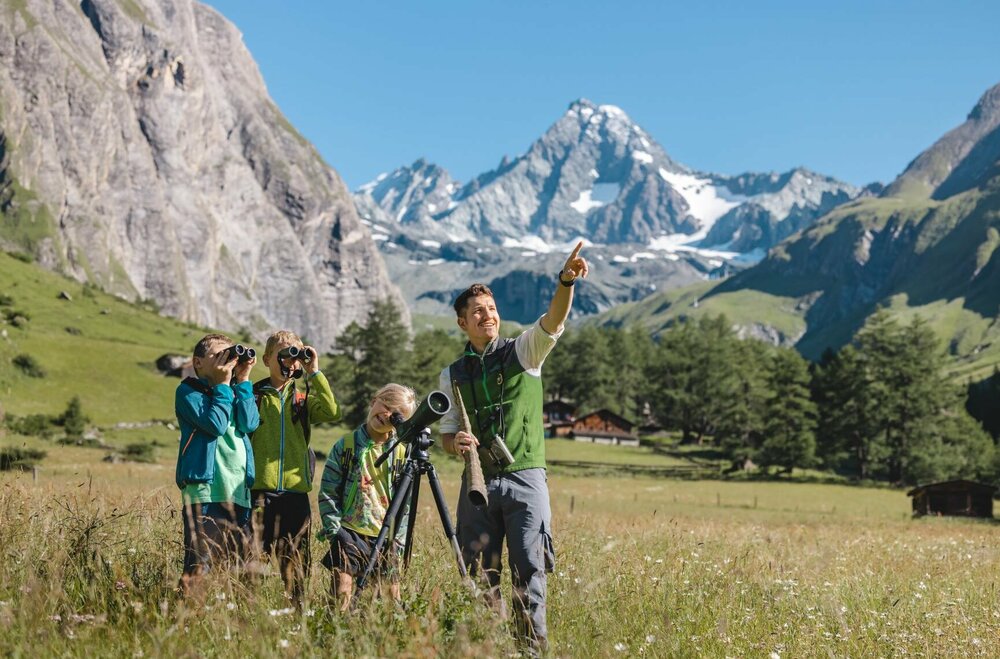 Wildtierbeobachtung Nationalpark Hohe Tauern Wildtierbeobachtung Nationalpark Hohe Tauern