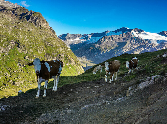 Adlerweg Osttirol Etappe 2