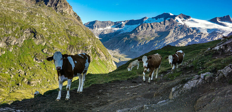 Adlerweg Osttirol Etappe 2 Adlerweg Osttirol Etappe 2