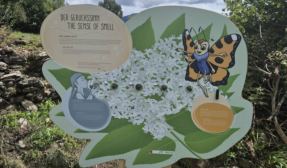 Diese Station am Weg der Sinne stellt den Geruchsinn auf die Probe. 