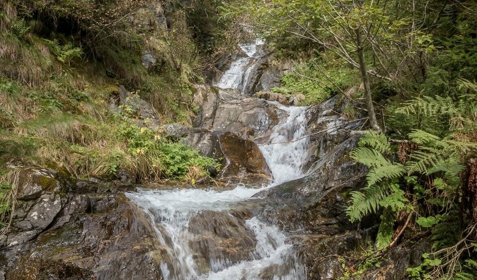 Gewässer am Wanderweg nach Gassen Wanderweg Richtung Gassen