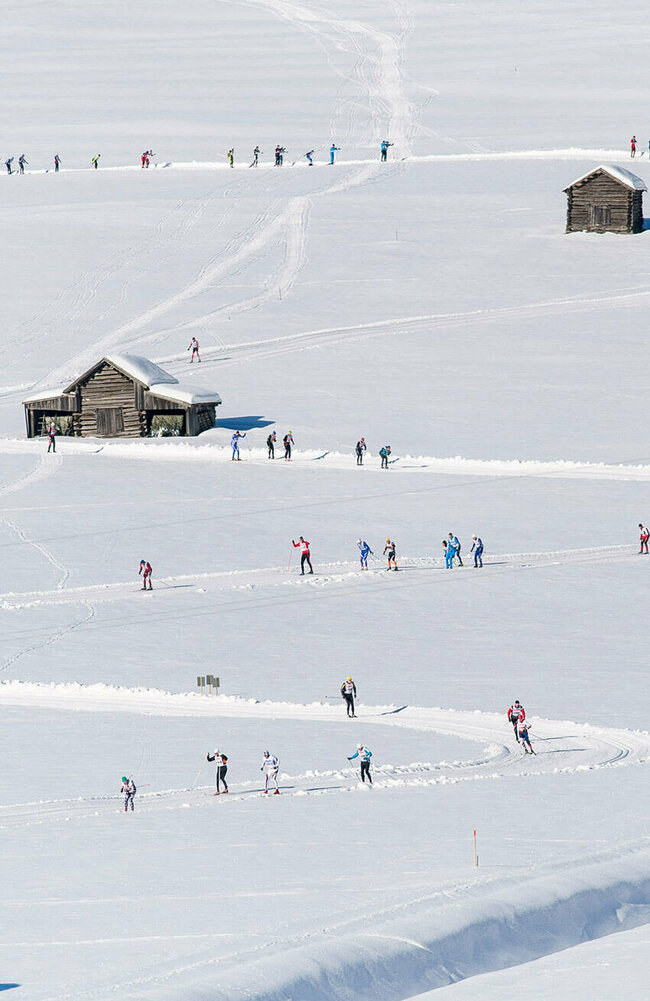 Luftbild vom Dolomitenlauf 2019 der Tilliacher Felder mit den zahlreichen kleinen Stadeln
