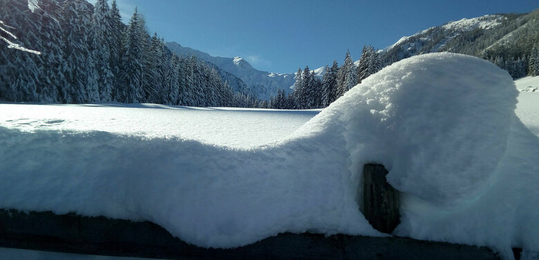 Schneekristalle beim Winterwandern in Kartitsch