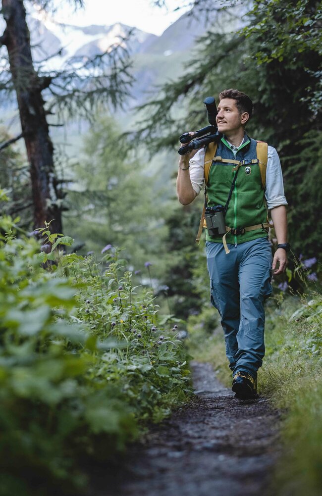 Nationalpark-Ranger Nationalpark-Ranger mit Fernglas wandert durch die Natur im Ködnitztal bei Kals am Großglockner.