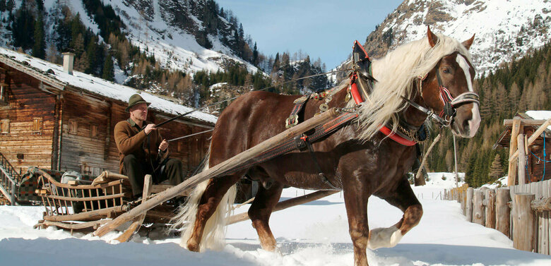 Pferdeschlitten Kutscher mit Pferdeschlitten im Winter