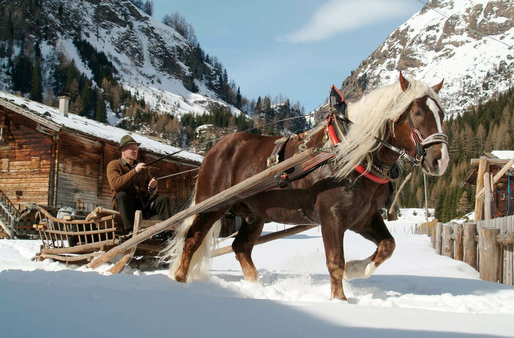 Kutscher mit Pferdeschlitten im Winter