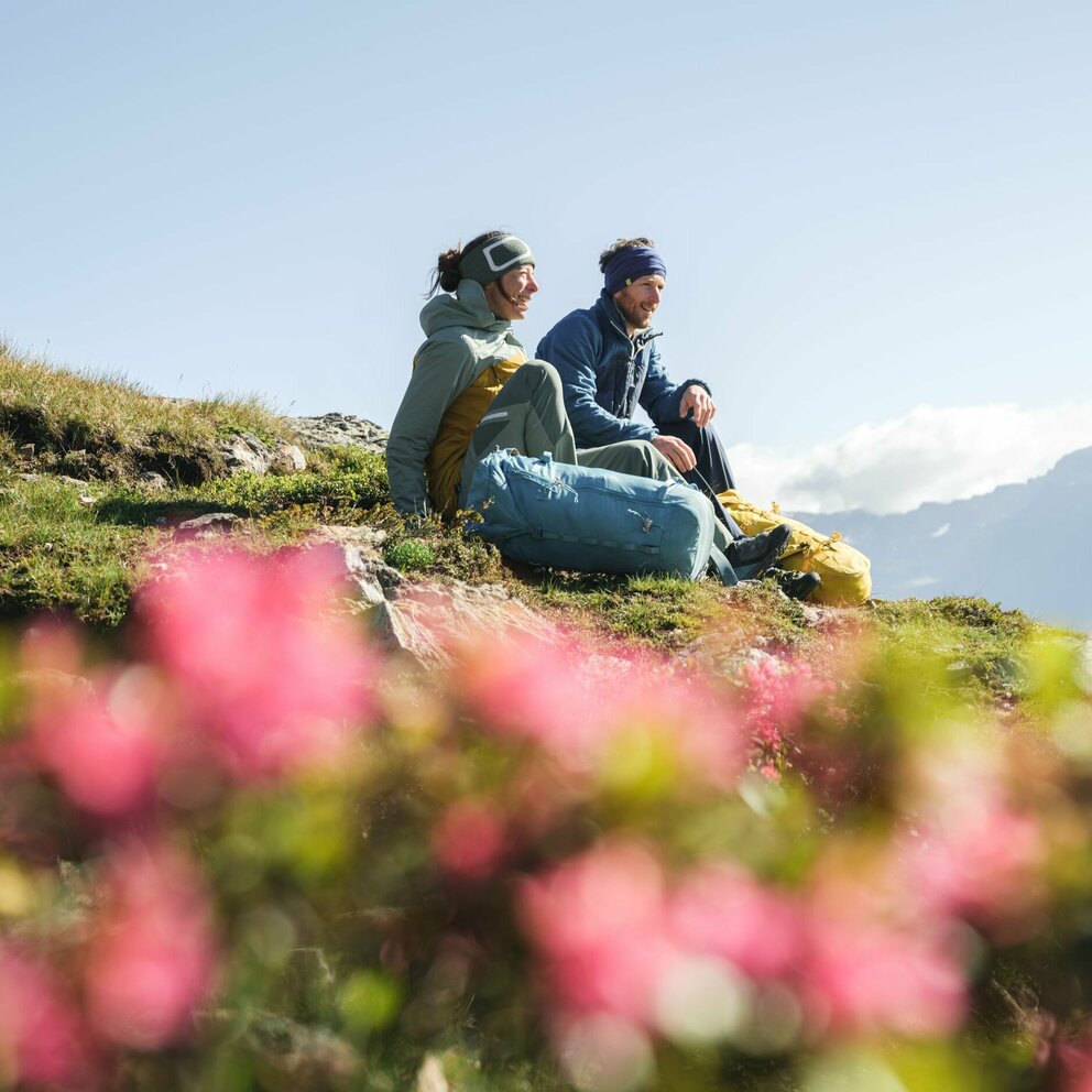 Böses Weibele Sonnenaufgangstour Ein Paar macht eine Pause auf einer Wiese mit Almrosen auf dem Weg zum Bösen Weibele zu einer Sonnenaufgangstour.