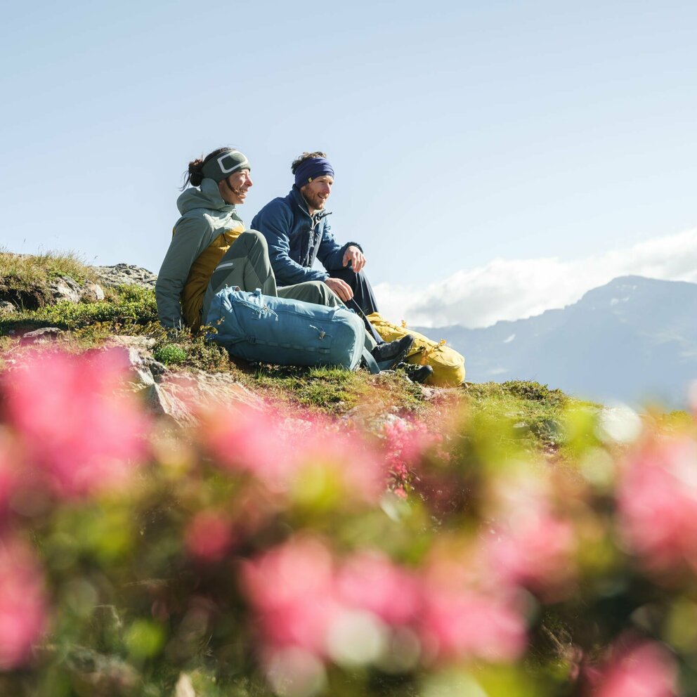 Böses Weibele Sonnenaufgangstour Ein Paar macht eine Pause auf einer Wiese mit Almrosen auf dem Weg zum Bösen Weibele zu einer Sonnenaufgangstour.