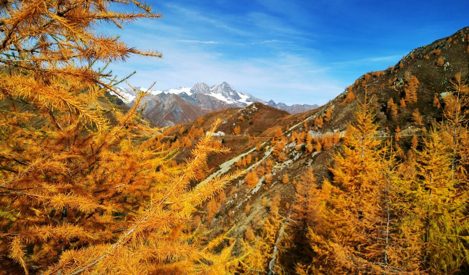 europapanoramaweg Farbenspiele zum Staunen