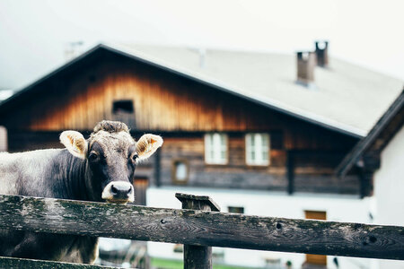 Obertillach - Das Buch