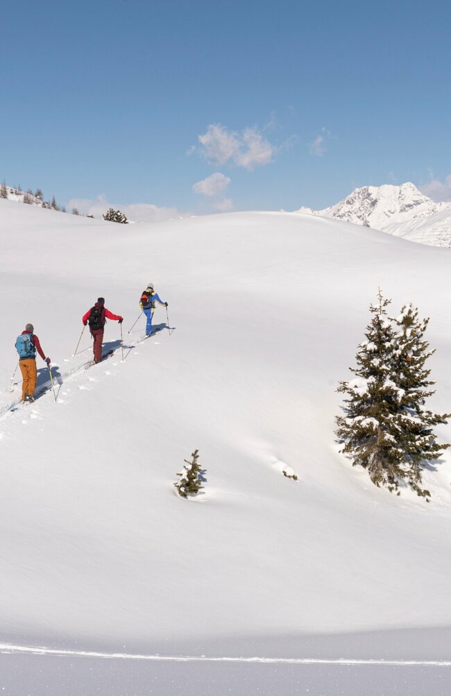 Skitour Anstieg in Villgraten Drei Skitourengeher:innen beim Anstieg in Villgraten