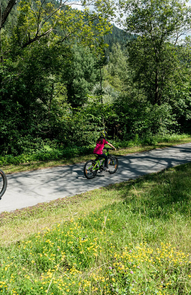 Eine dreiköpfige Familie am Radfahren auf dem Iselradweg. Der asphaltierte Weg ist umgeben von saftig grünen Bäumen und einem Grünstreifen mit vielen, gelben Blumen.
