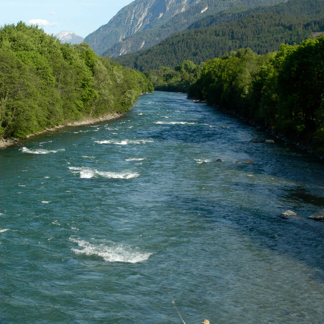 Fliegen fischen Blick von oben auf einen Mann im Fluss mit einer Angel beim Fliegen fischen. Am Ufer wachsen saftig grüne Bäume und im Hintergrund ragen Berggipfel in die Höhe.