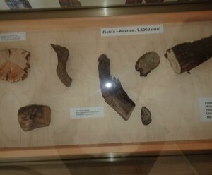 Holzfund Ausstellung