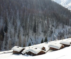 Alfenalm - Ferienwohnungen am Berg - Almhütte