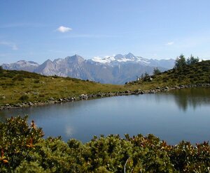 Haus Meixner Walburga