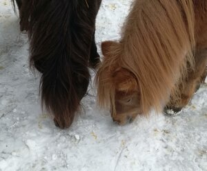 Ferienwohnung Unterflatsch