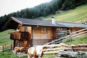 Goisn Alm / Grosslercherhof