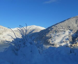 Ferienwohnung Brunnerhof