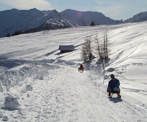 Bauernhof Lienharter