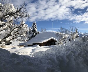 Gästehaus Schlossnerhof***