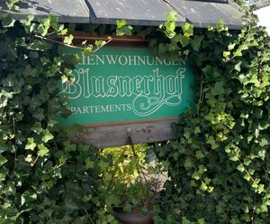 APPARTMENTS BLUSNERHOF