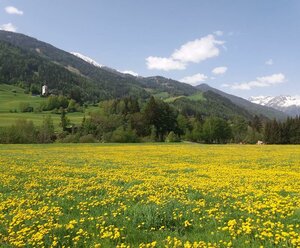 Gästeheim Pötscher