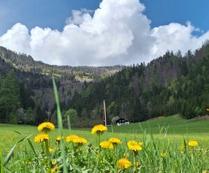 Familie Tagger/Burgfrieden