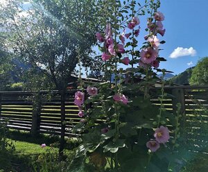 Frühstückspension Mühlmann&Schön