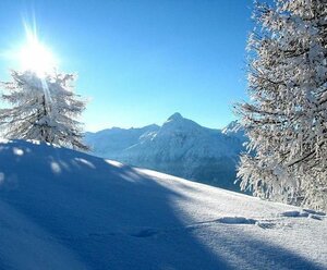 Pferderennen auf Schnee