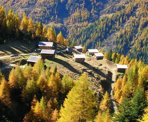 Almhütte 2  Kamelisenalm Bergmann Josef