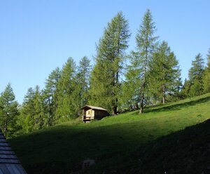 Almhütte Thalefeld - Lanser Erwin