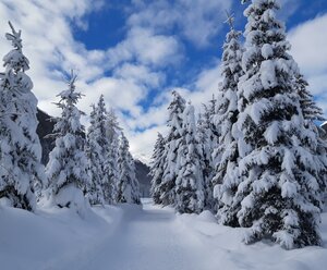 Ferienwohnung STEINER