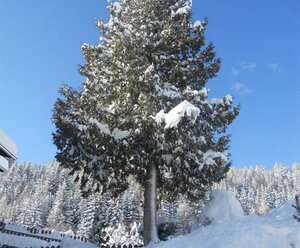Ferienwohnung Brunnerhof