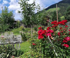 Frühstückspension Mühlmann&Schön