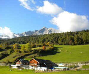 Biobauernhof Berger-Veidlerhof